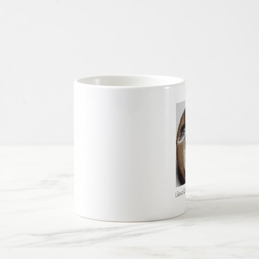 Buddy Llama Mok (Center)