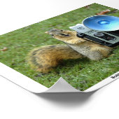 BUDDY P. SQUIRREL POSTER (Hoek)