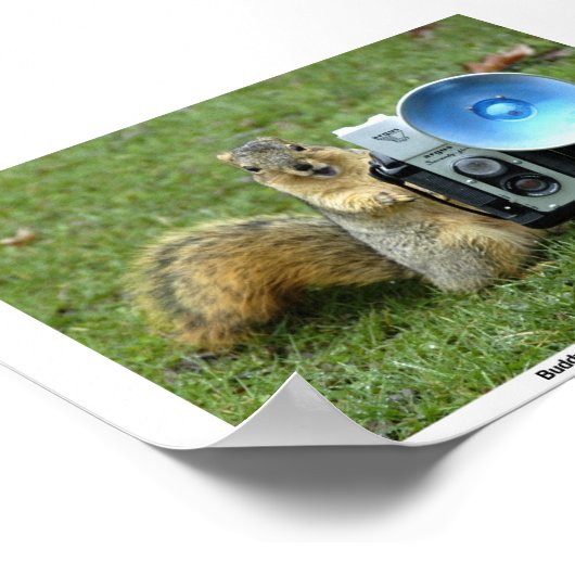 BUDDY P. SQUIRREL POSTER (Hoek)