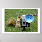 BUDDY P. SQUIRREL POSTER (Voorkant)