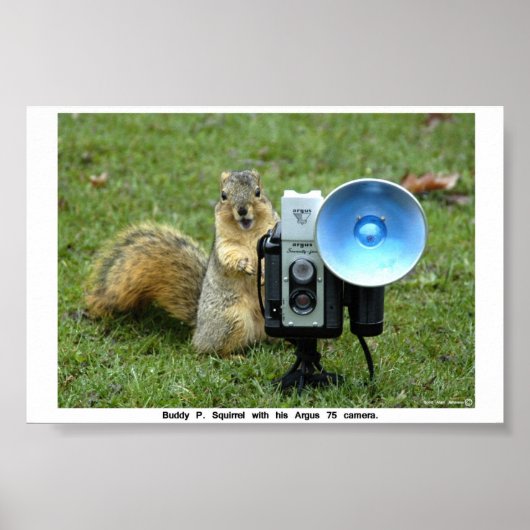 BUDDY P. SQUIRREL POSTER (Voorkant)