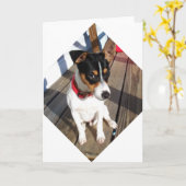 Buddy - Rat Terrier Kaart (Gele Bloem)