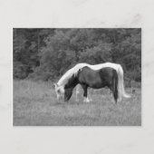 Buddy, s briefkaart (Voorkant)