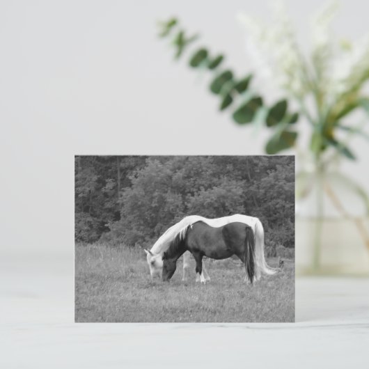 Buddy, s briefkaart (Staand voorkant)