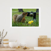 Buddy The Squirrel en zijn camera Poster (Keuken)