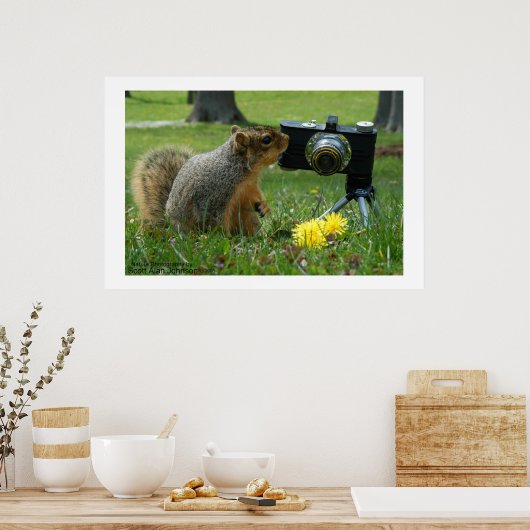 Buddy The Squirrel en zijn camera Poster (Keuken)