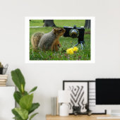 Buddy The Squirrel en zijn camera Poster (Thuiskantoor)