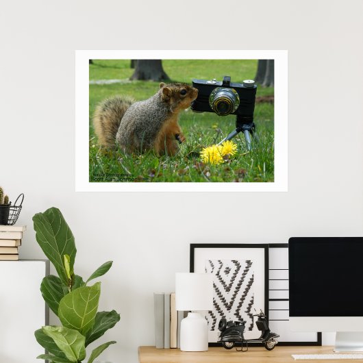 Buddy The Squirrel en zijn camera Poster (Thuiskantoor)