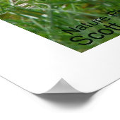 Buddy The Squirrel en zijn camera Poster (Hoek)