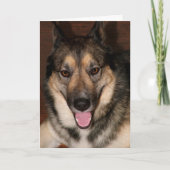 Buddy Wenskaart Kaart (Voorkant)