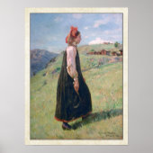 Budeia Norway Hallingdal Folk Costume Poster (Voorkant)