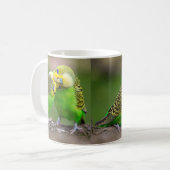 Budgerigar Koffiemok (Voorkant links)