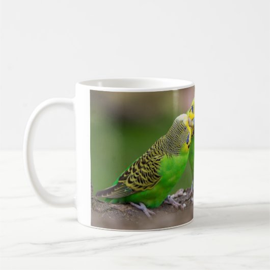 Budgerigar Koffiemok (Links)