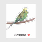 Budgerigar Parrot Sticker (Vel)