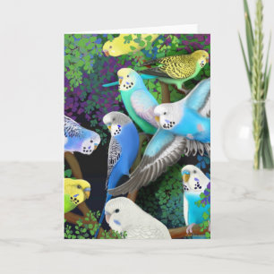Budgerigars en varens Kaart