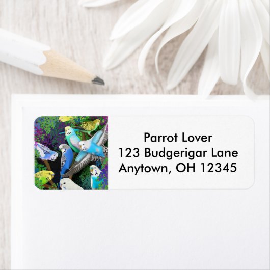 Budgerigars in Varens Label (Insitu)