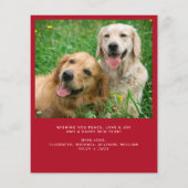 Budget 4 Foto Vrolijk Kerstvakantie Kaart (Achterkant)