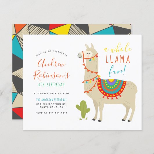 Budget A Whole Llama Fun Animal Birthday Party (Voorkant / Achterkant)