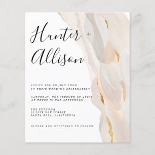 Budget Abstract Weddenschap-brochure Flyer