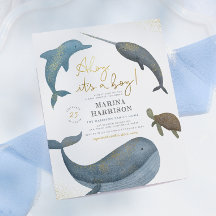 Budget Ahoy Het Is Een Jongen Cute Zee Dieren Baby