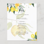 BUDGET All-in-1 FOTO OVERLAY Lemons Wedding QR Flyer (Achterkant)