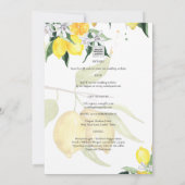 BUDGET All-in-1 FOTO OVERLAY Lemons Wedding QR Kaart (Achterkant)