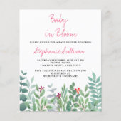 Budget Baby in Bloom Eucalyptus Baby shower Uitnod (Voorkant)
