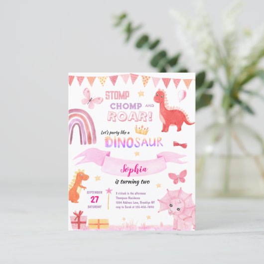 BUDGET Baby Meisje Roze Dino Dinosaur Kinderen Ver (Staand voorkant)