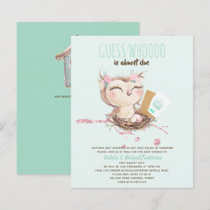 BUDGET Baby shower Drive by Mail Owl Cute Invute