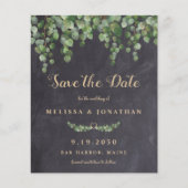 Budget bijtende eucalyptus sparen het Briefkaart D (Voorkant)