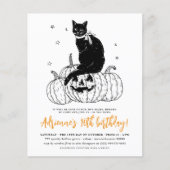 Budget Black Cat Halloween Pumpkin Birthday Party (Voorkant)