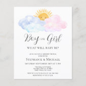 Budget Blauw en Roze Geslacht Onthulling Uitnodigi (Voorkant)