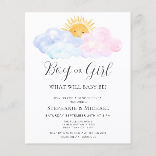 Budget Blauw en Roze Geslacht Onthulling Uitnodigi (Voorkant)