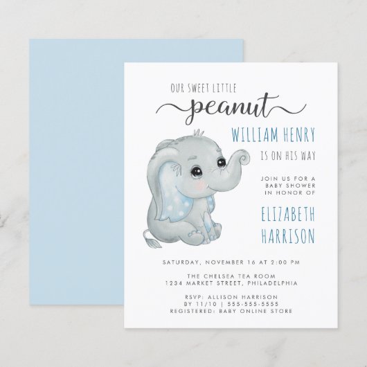 Budget Blue Elephant Waterverf Baby Boy Shower (Voorkant / Achterkant)