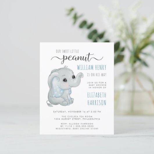 Budget Blue Elephant Waterverf Baby Boy Shower (Staand voorkant)