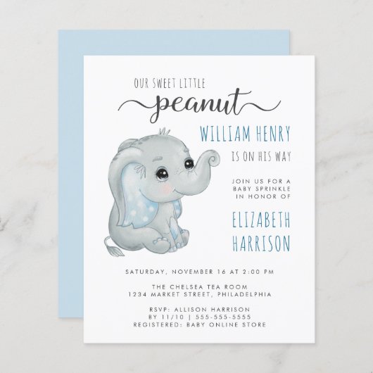 Budget Blue Elephant Waterverf Baby Boy Sprinkle (Voorkant / Achterkant)