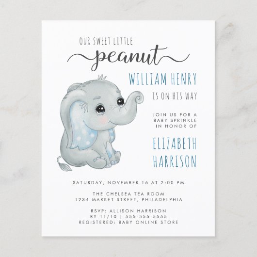 Budget Blue Elephant Waterverf Baby Boy Sprinkle (Voorkant)