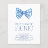 Budget Blue Gingham Bow Stropdas Baby shower Picni (Voorkant)