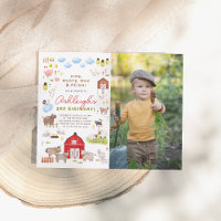 Budget Boerderij Dieren Bash Foto Verjaardagsfeest