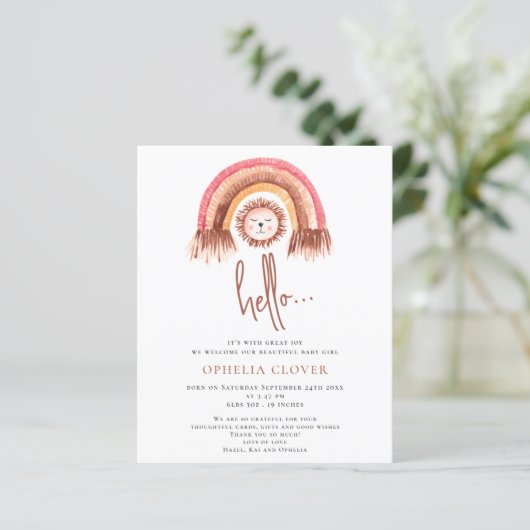 Budget Boho Leuke Leeuw Regenboog Geboorte Aankond (Staand voorkant)