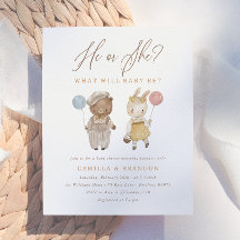 Budget Boho Woodland Dieren Geslacht Reveal