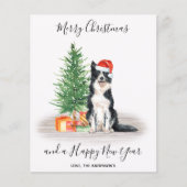 Budget Border Collie Dog Merry Kerstmis Kaart (Voorkant)
