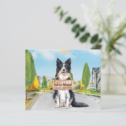 Budget Border Collie We hebben Dog Moving Kaart ve (Staand voorkant)