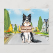 Budget Border Collie We hebben Dog Moving Kaart ve (Voorkant)
