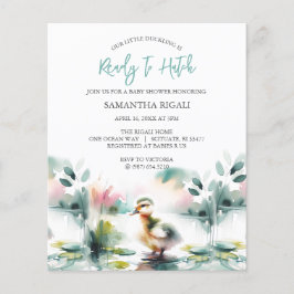 Budget Boy Baby shower Duck Thema Flyer