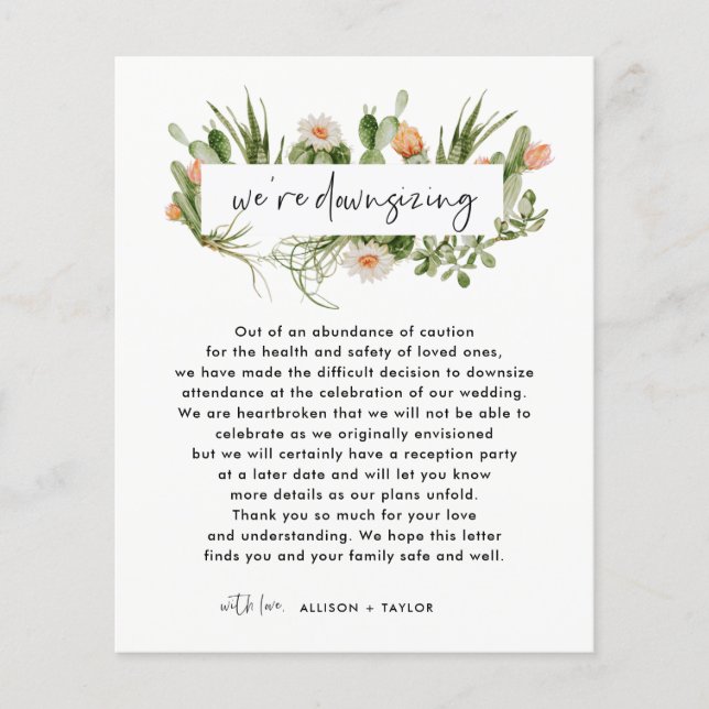 Budget Cactus Kleinere Trouwupdate Downsizen (Voorkant)