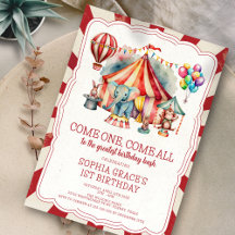 Budget Carnaval Circus Show & Dieren Verjaardag