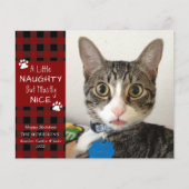 Budget Cat Photo Naughty of Nice Wenskaart (Voorkant)