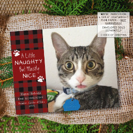 Budget Cat Photo Naughty of Nice Wenskaart