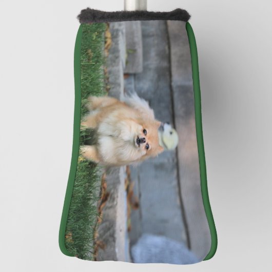 Budget Cerberus Golfheadcover (Draai 90)